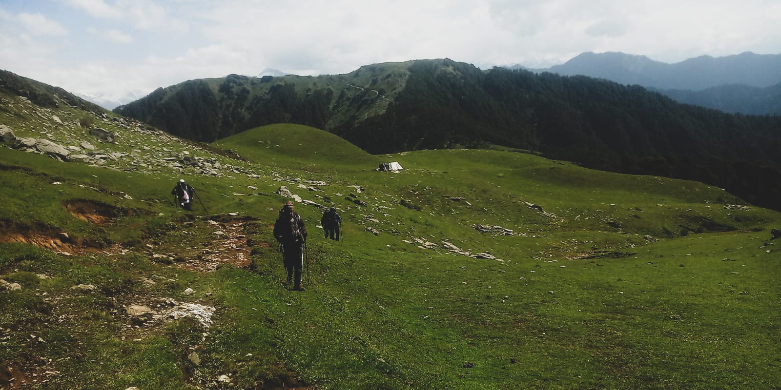 Himalayan meadow bugyal