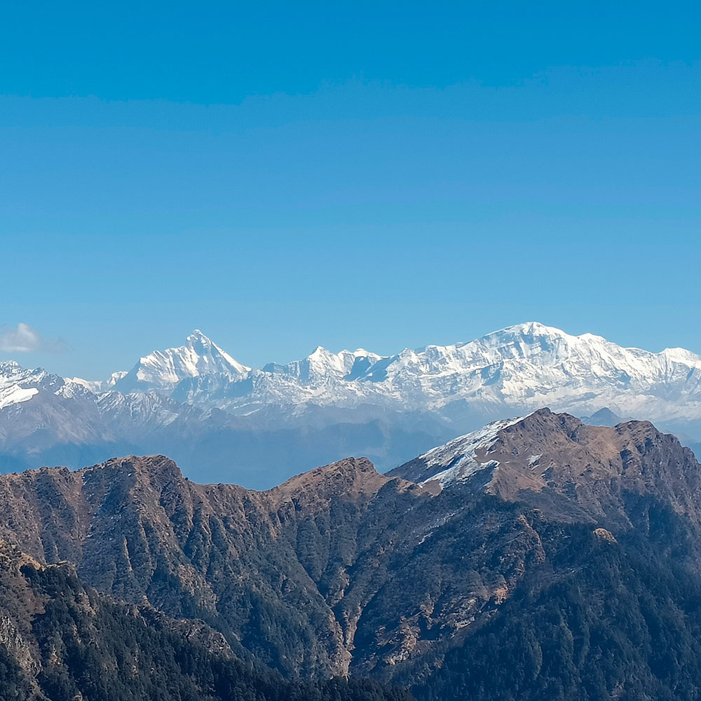 Panwali Kantha Bugyal trek in Uttarakhand